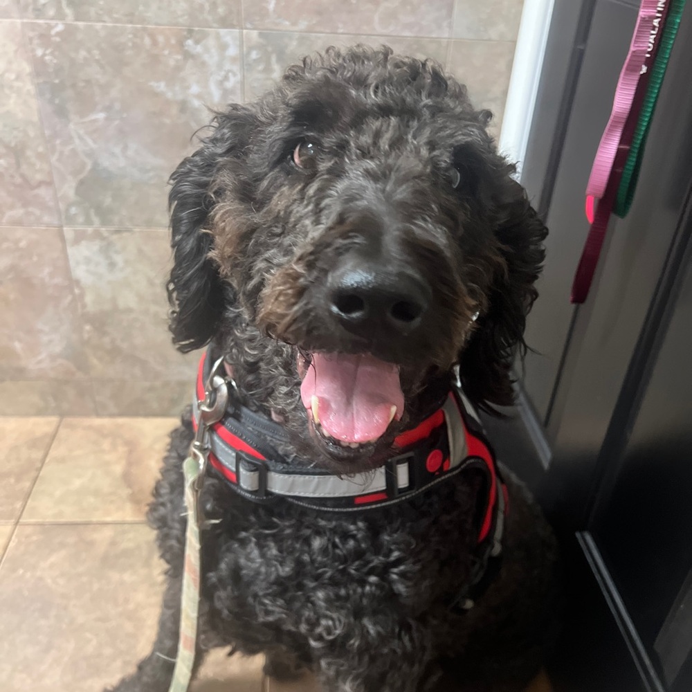 Meet your Posher, Margaret